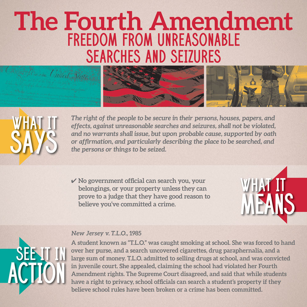 Bill of Rights In Action Mini-Poster Set