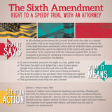 Bill of Rights In Action Mini-Poster Set