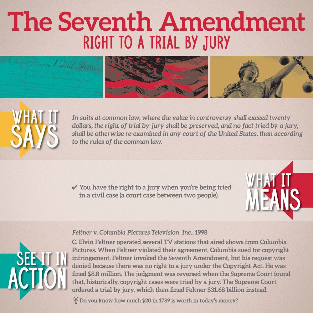 Bill of Rights In Action Mini-Poster Set