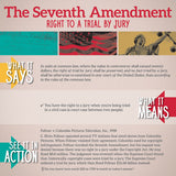 Bill of Rights In Action Mini-Poster Set