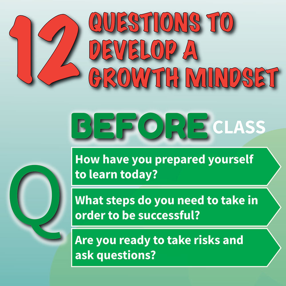 12 Questions to Develop a Growth Mindset Skinny Poster