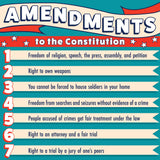 27 Amendments Skinny Poster