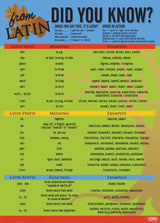 Greek and Latin Language Common Roots Poster Set