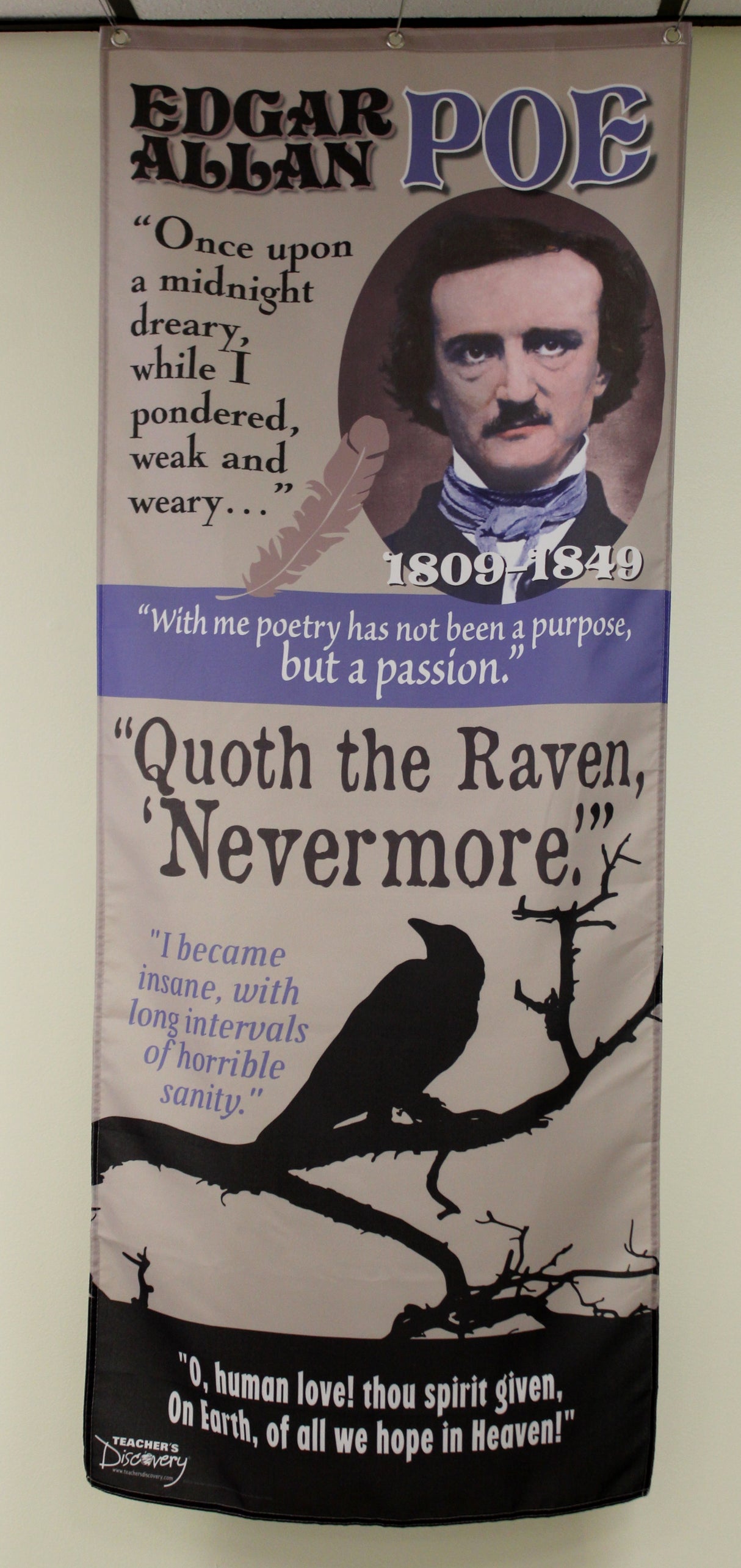 Quoth the Raven: Edgar Allan Poe Fabric Banner with Clips