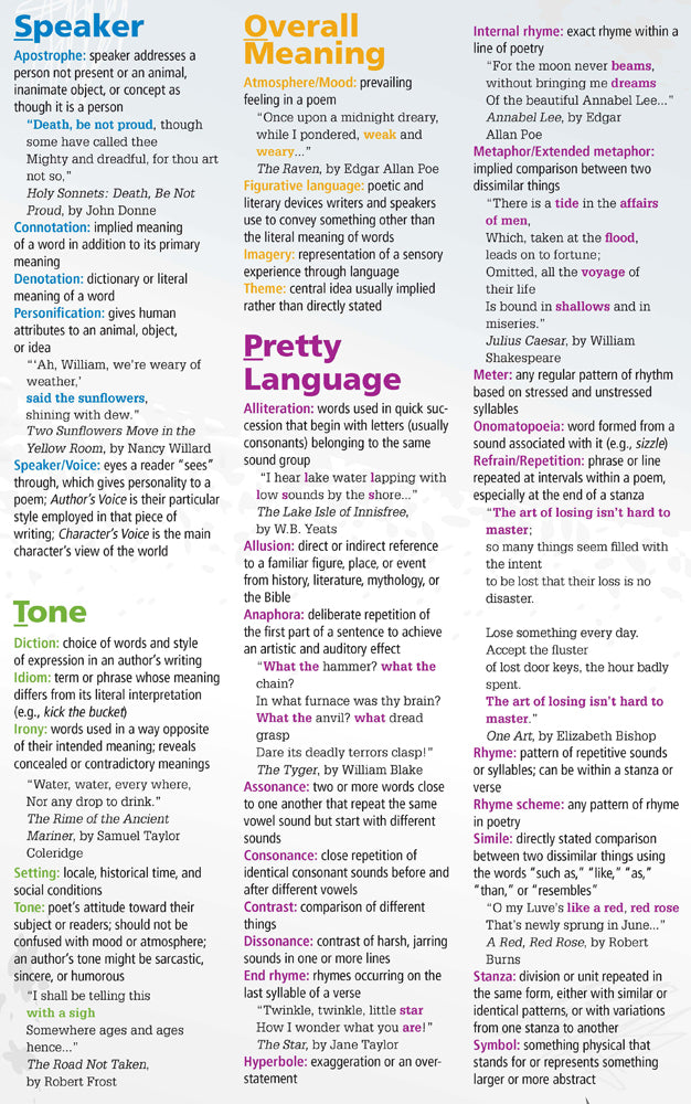 STOP and Analyze a Poem! Skinny Poster