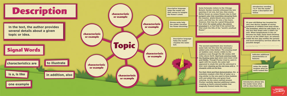 Informational Text Structure Poster Set of 6