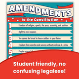 27 Amendments Skinny Poster