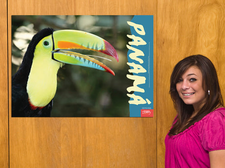 Travel to Panama, Toucan - Spanish - Poster