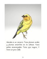Vern y sus amigos - Level 1 - Spanish Reader by Jennifer Degenhardt & Theresa Marrama
