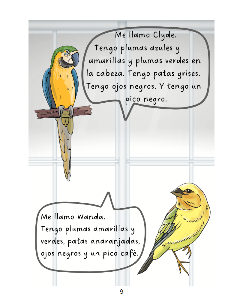 Vern y sus amigos - Level 1 - Spanish Reader by Jennifer Degenhardt & Theresa Marrama