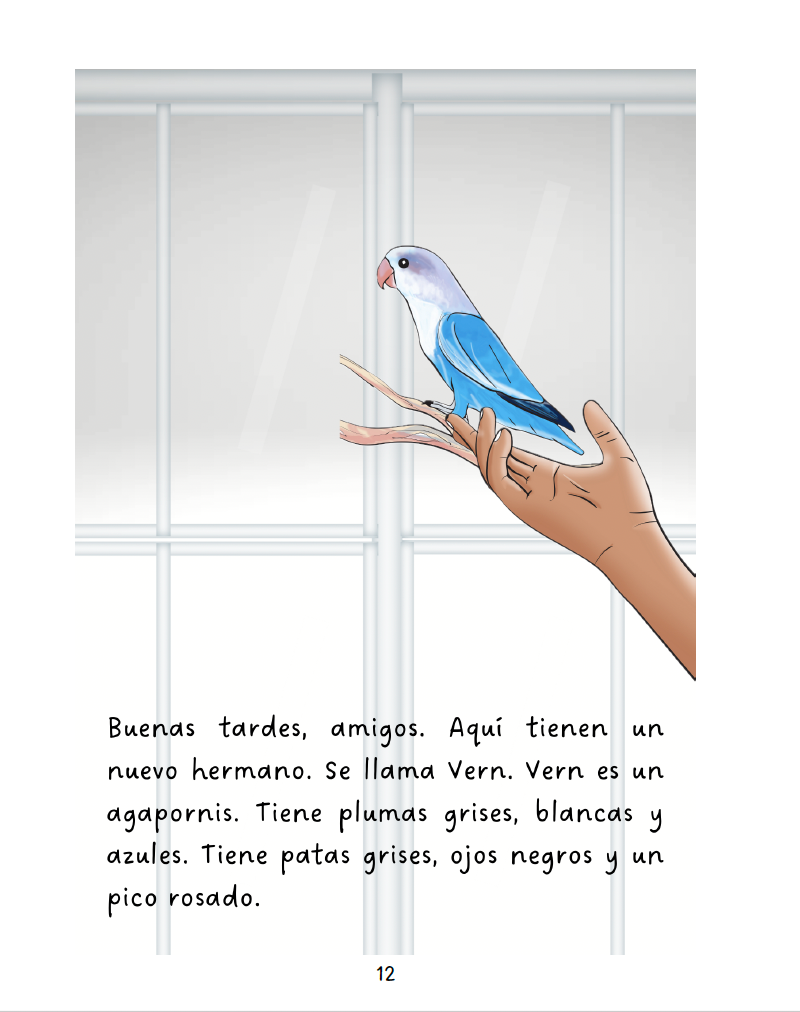 Vern y sus amigos - Level 1 - Spanish Reader by Jennifer Degenhardt & Theresa Marrama