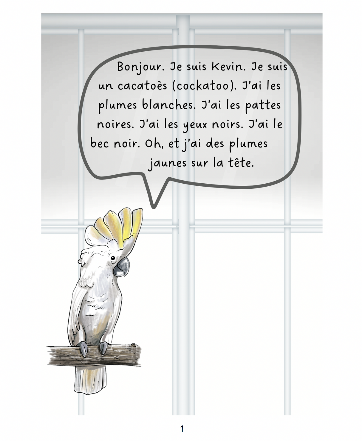 Vern et ses amis - Level 1 - French Reader by Jennifer Degenhardt & Theresa Marrama