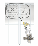 Vern et ses amis - Level 1 - French Reader by Jennifer Degenhardt & Theresa Marrama