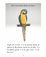 Vern et ses amis - Level 1 - French Reader by Jennifer Degenhardt & Theresa Marrama