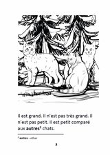 Léo le chat - Level 1 - French Reader by Theresa Marrama