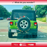 The See-Think-Wonder Routine - Professional Development