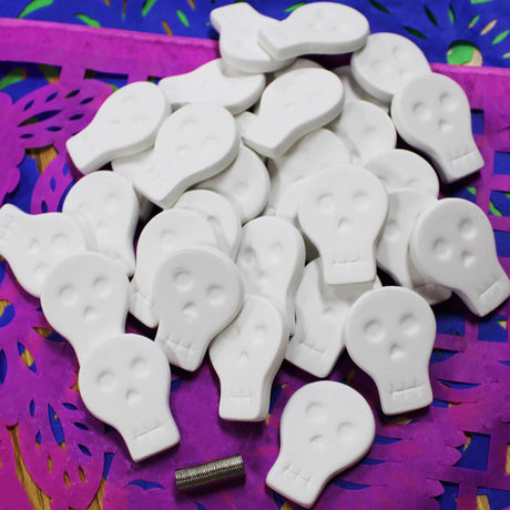 Day of the Dead Skull Magnet Kit