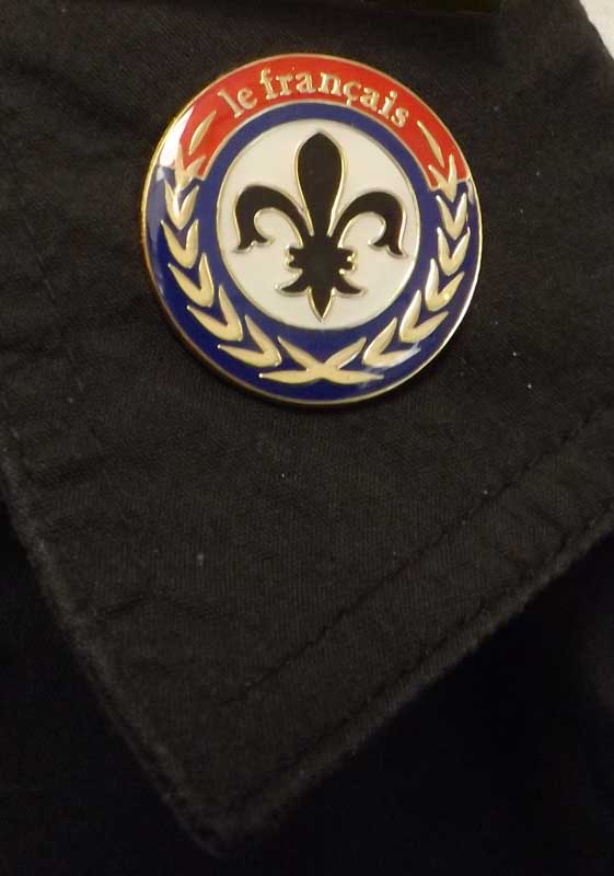 Fleur-De-Lis Enhanced® Pin