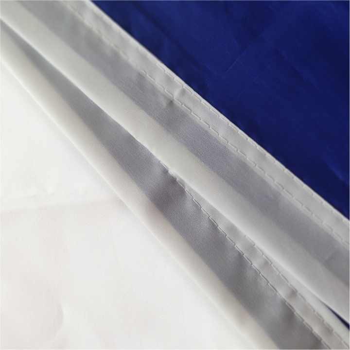 French Flag