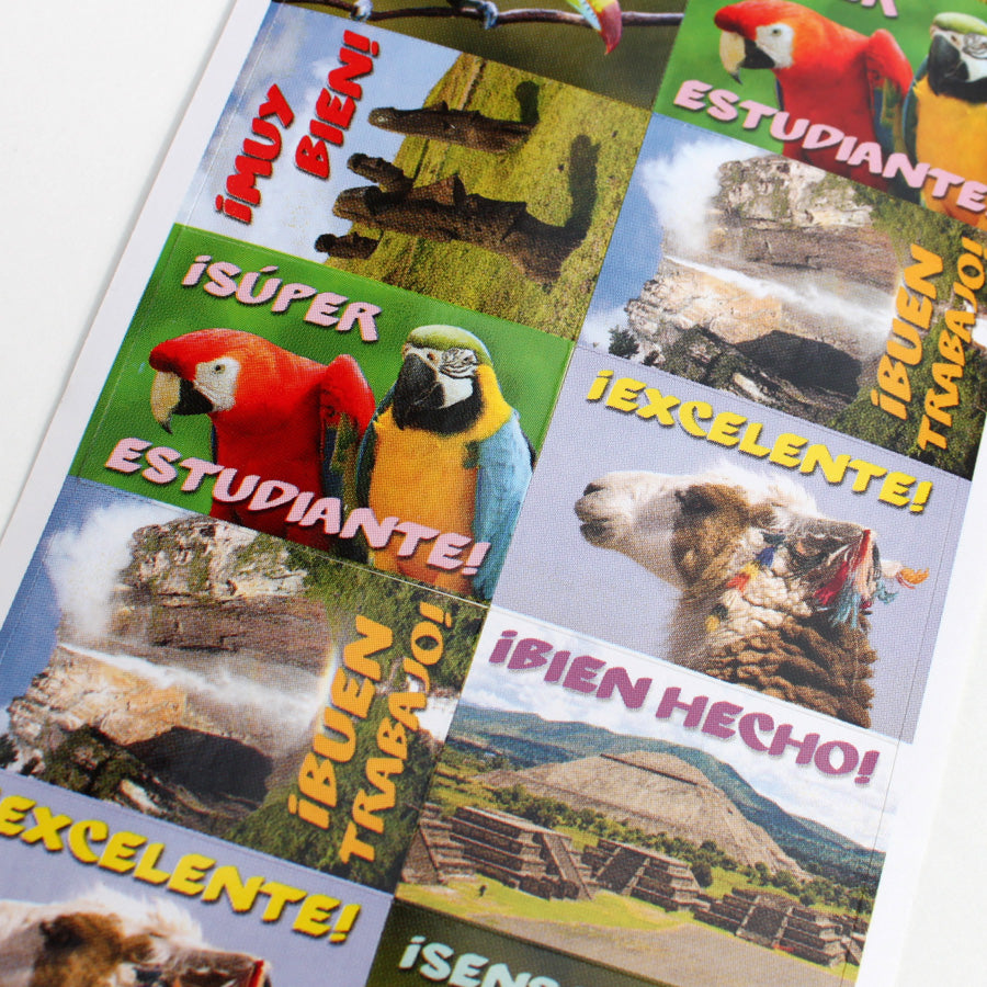 Sights of Latin America Spanish Stickers (60)