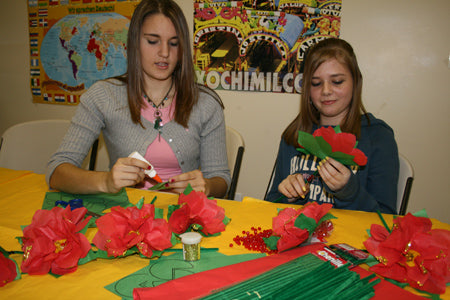 Glittery Poinsettia Kit