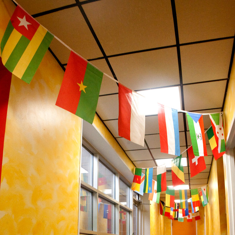 29 French-Speaking Countries Flag Banner