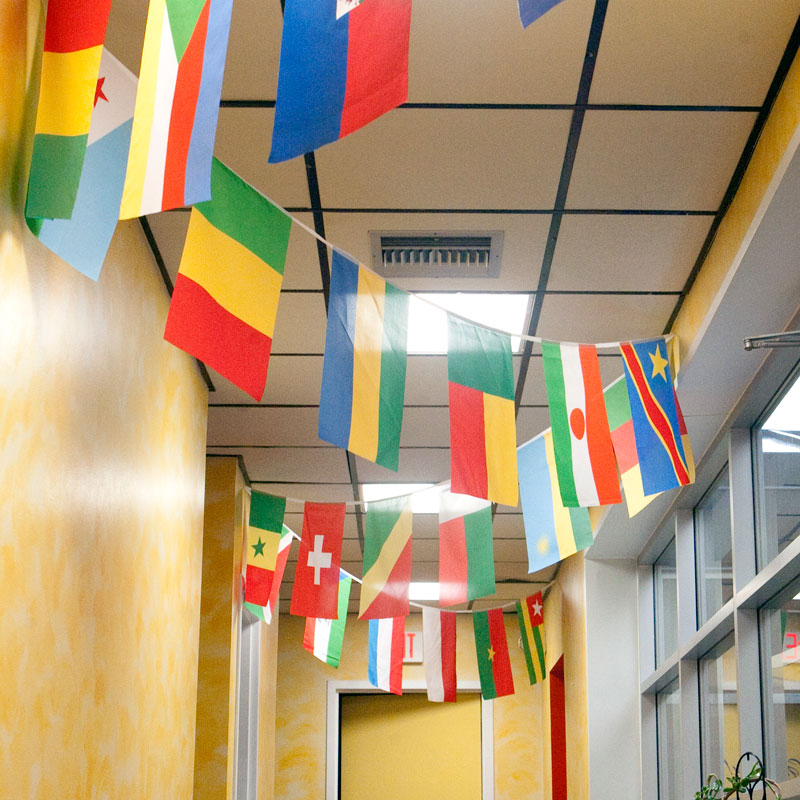 29 French-Speaking Countries Flag Banner