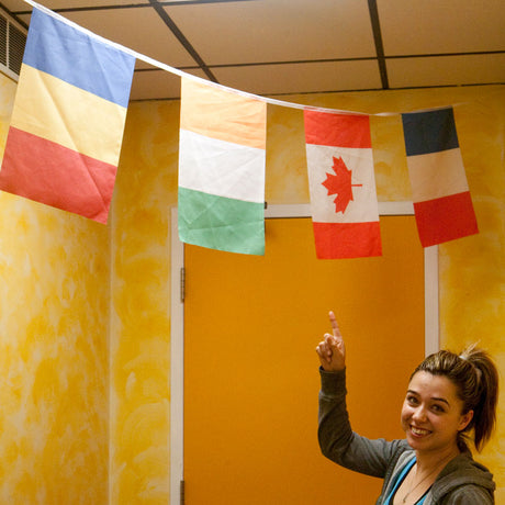 29 French-Speaking Countries Flag Banner