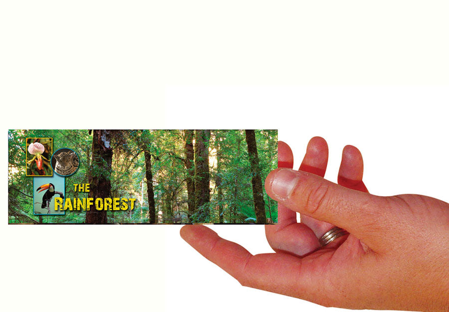 Rainforest Set Of 100 Bookmarks