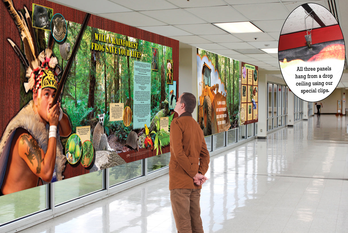 Rainforest Traveling Exhibit