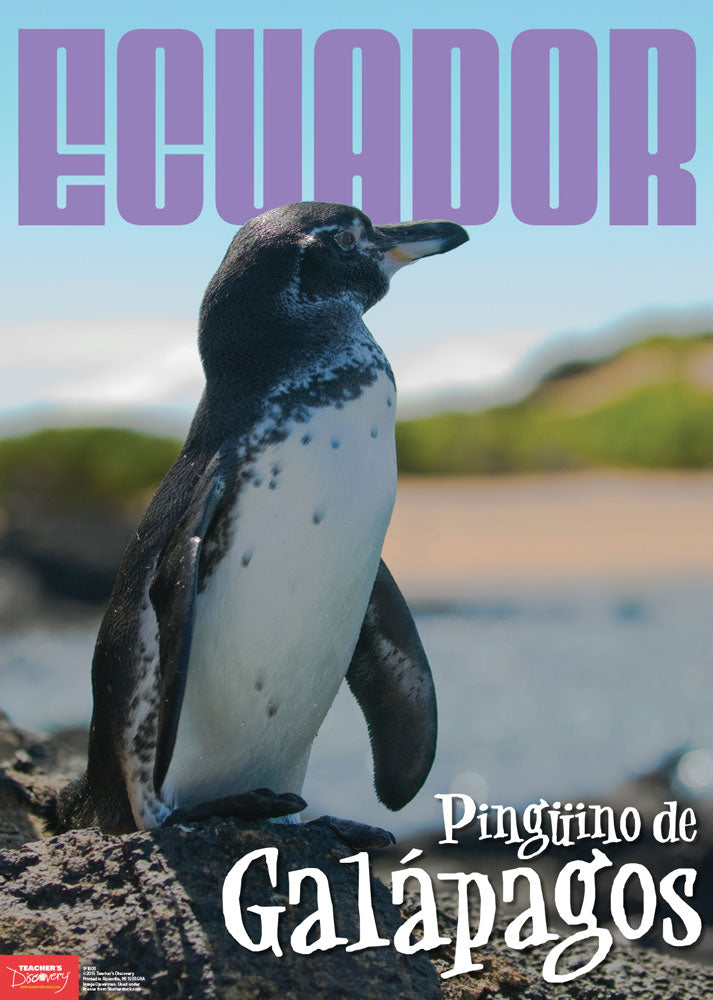 Ecuador Spanish Travel Poster