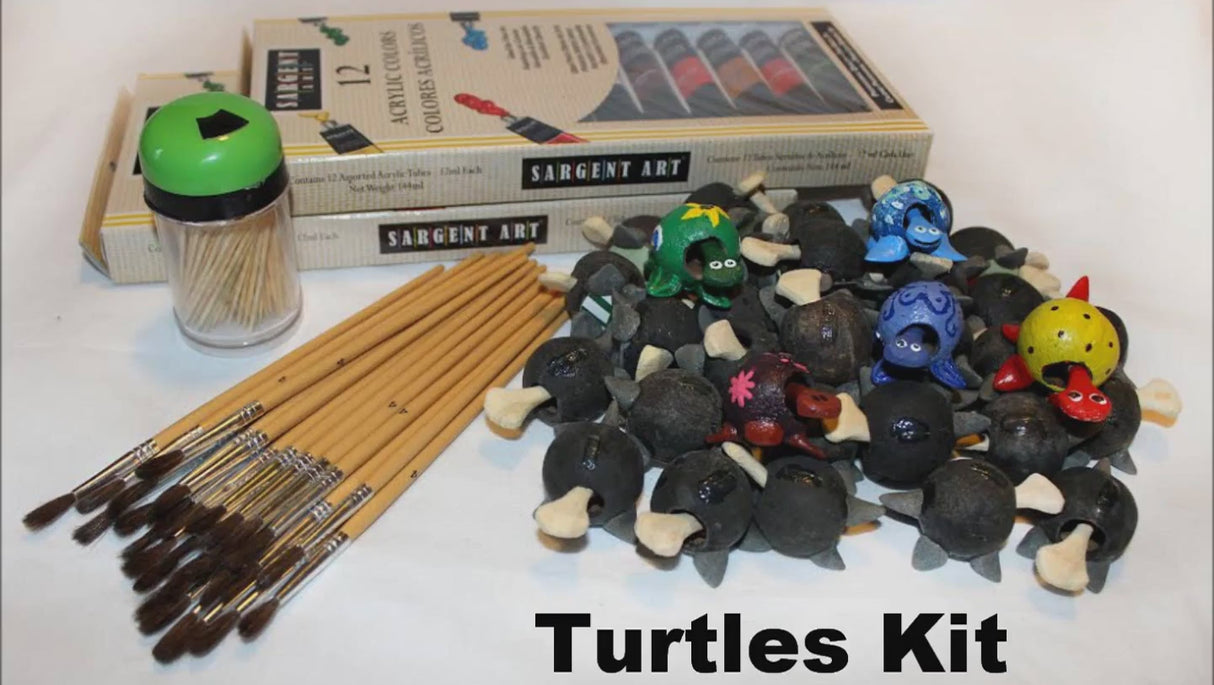 Natural Turtles Set of 30